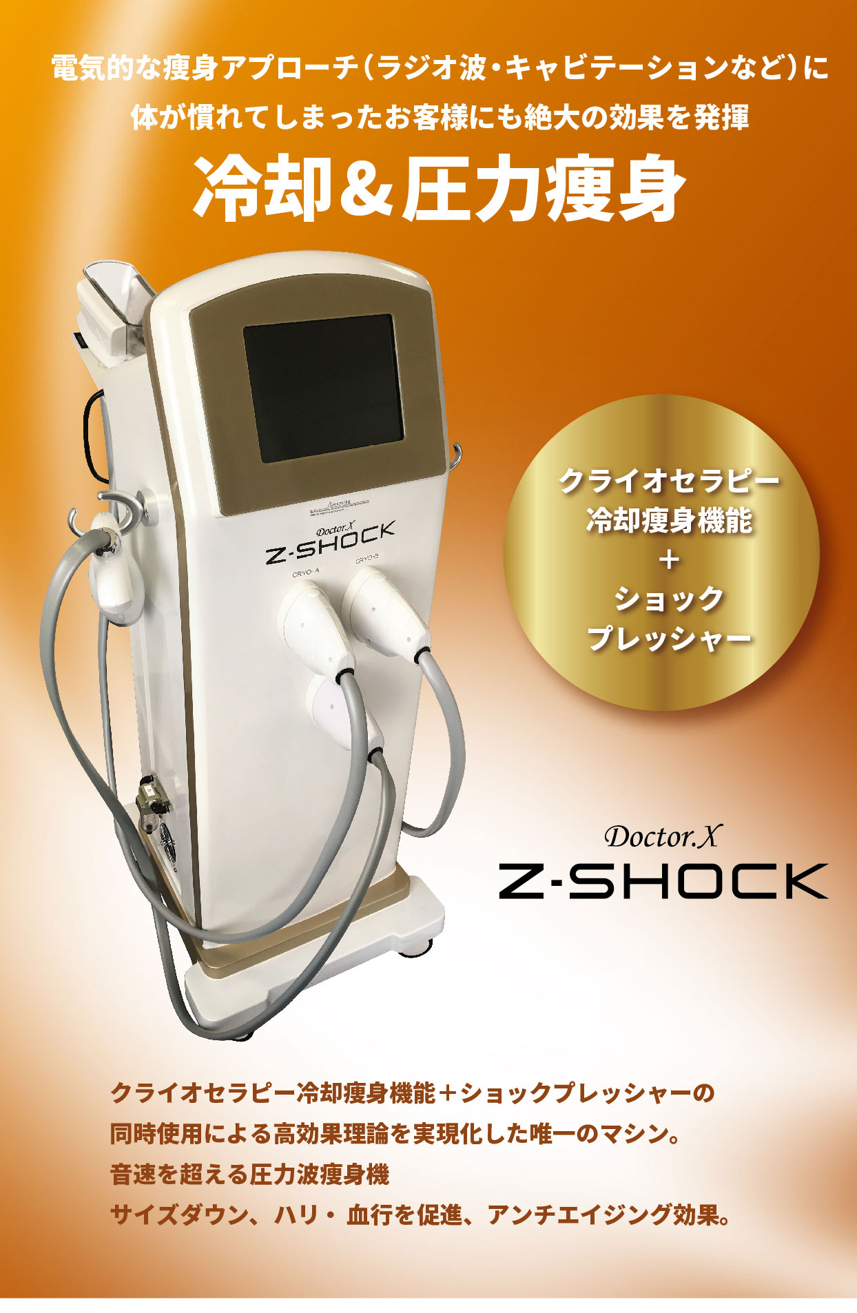 Z-Shock | ズィーショック 痩身、デトックス、フェイスなど業務用美容