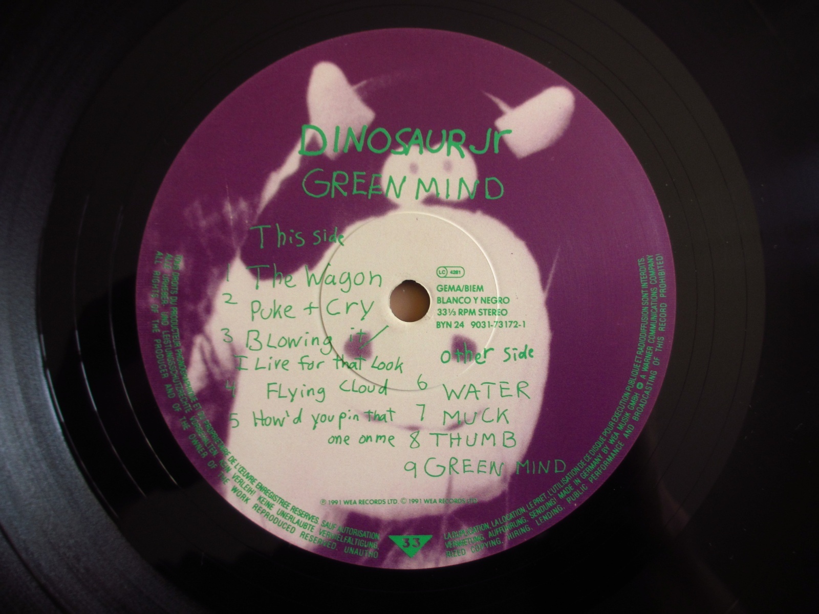 Dinosaur Jr / Green Mind - Guitar Records