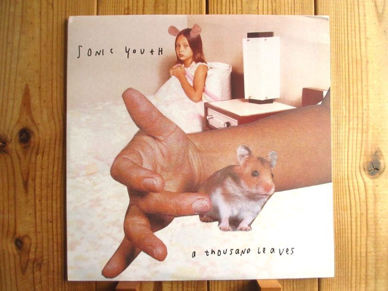 Sonic Youth / Thousand Leaves - Guitar Records
