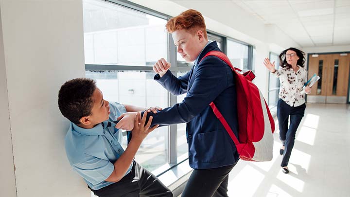 GRACIE UNIVERSITY: Global Brazilian Jiu-Jitsu (BJJ) Instruction