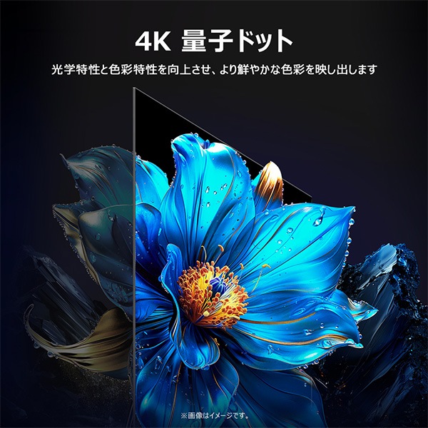 情熱価格×TCL QLED 55型4Kスマート液晶テレビ｜AV/音響/イヤホン｜商品