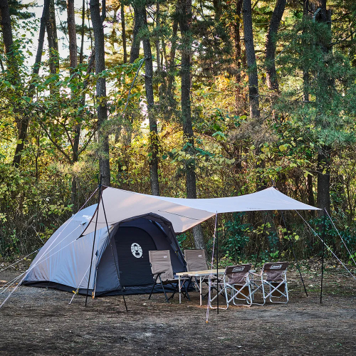 BCクロスドーム/270(チャコール) 2206747 コールマン テント