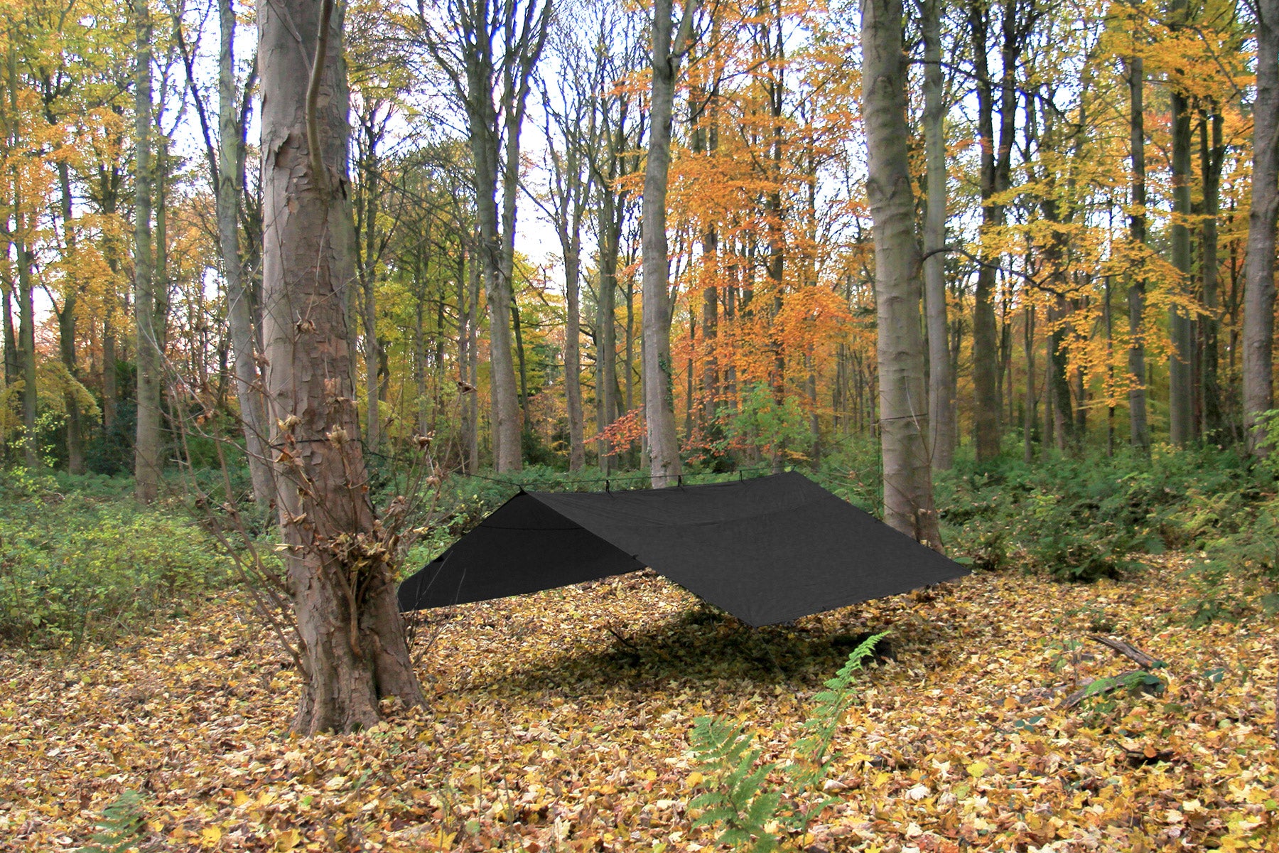 DD Tarp 4x4 – DD Hammocks