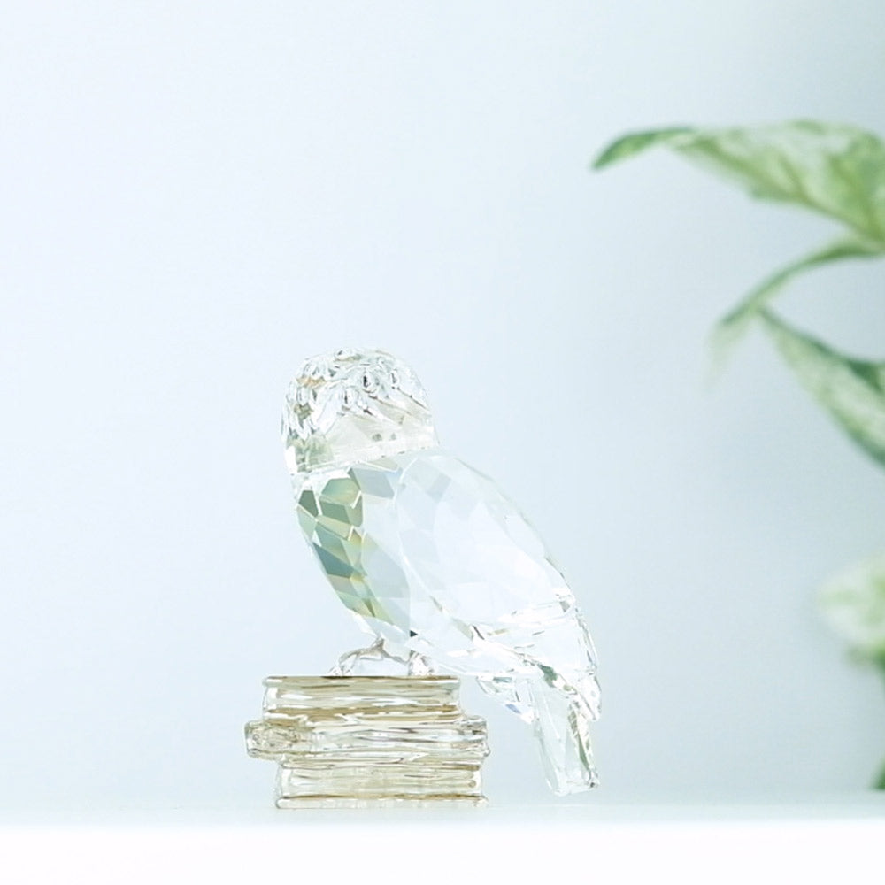 Swarovski Hedwig | Swarovski Harry Potter Hedwig | 5585969 – David