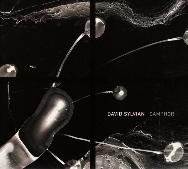 davidsylvian.com } David Sylvian - 