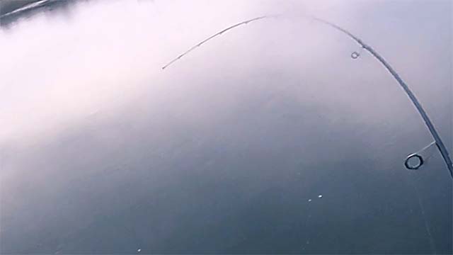 バーサタイルど真ん中！ | ダイワ ハートランド HL 6102MLFS-19 実釣