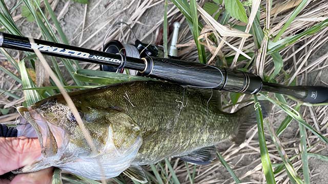 シマノ ポイズンアルティマ 5ピース 266L-5 インプレ | マルチピース