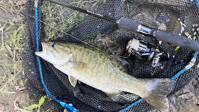 0.9～14gまでバーサタイル!! 「ブラックレーベルトラベル S66L-5」 実