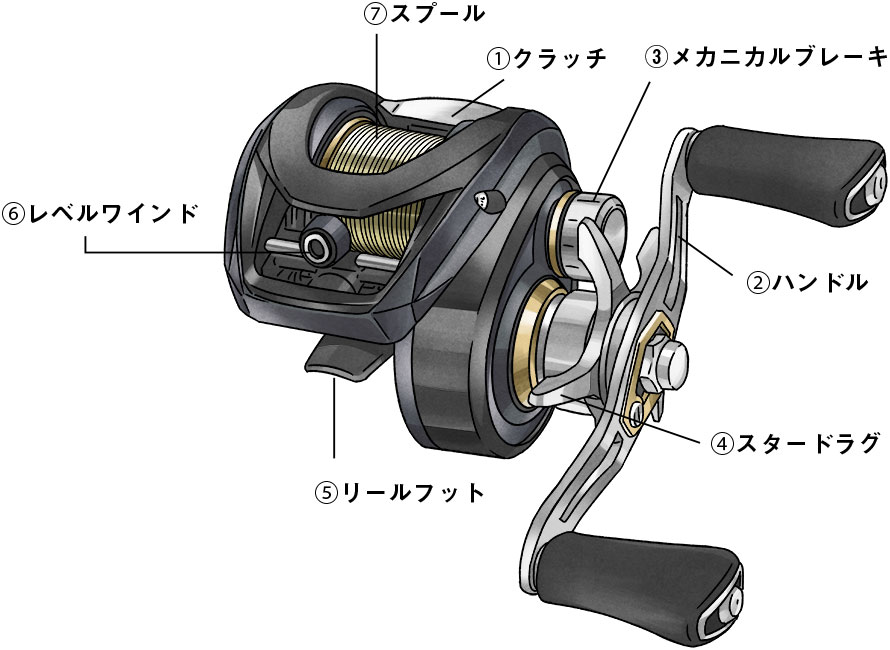 釣りの基礎知識（釣具の役割と使い方）｜DAIWA 初心者のための釣り入門