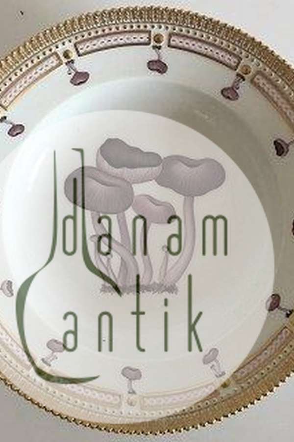 ロイヤルコペンハーゲン フローラダニカ ディナープレート きのこ