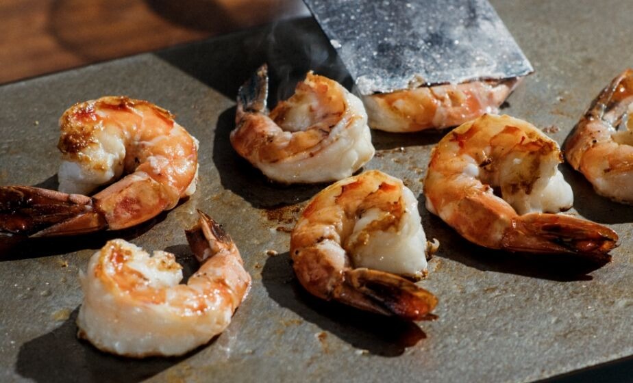 BALMUDA The Plate Pro 本体専用ケース付き | Black BALMUDA