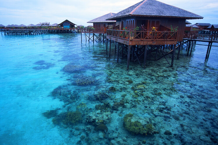 シパダン ボルネオ（マレーシア）｜海外ダイビングツアー｜ダイブナビ