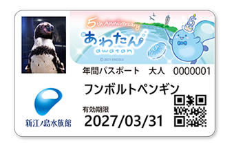 年間パスポート | 新江ノ島水族館