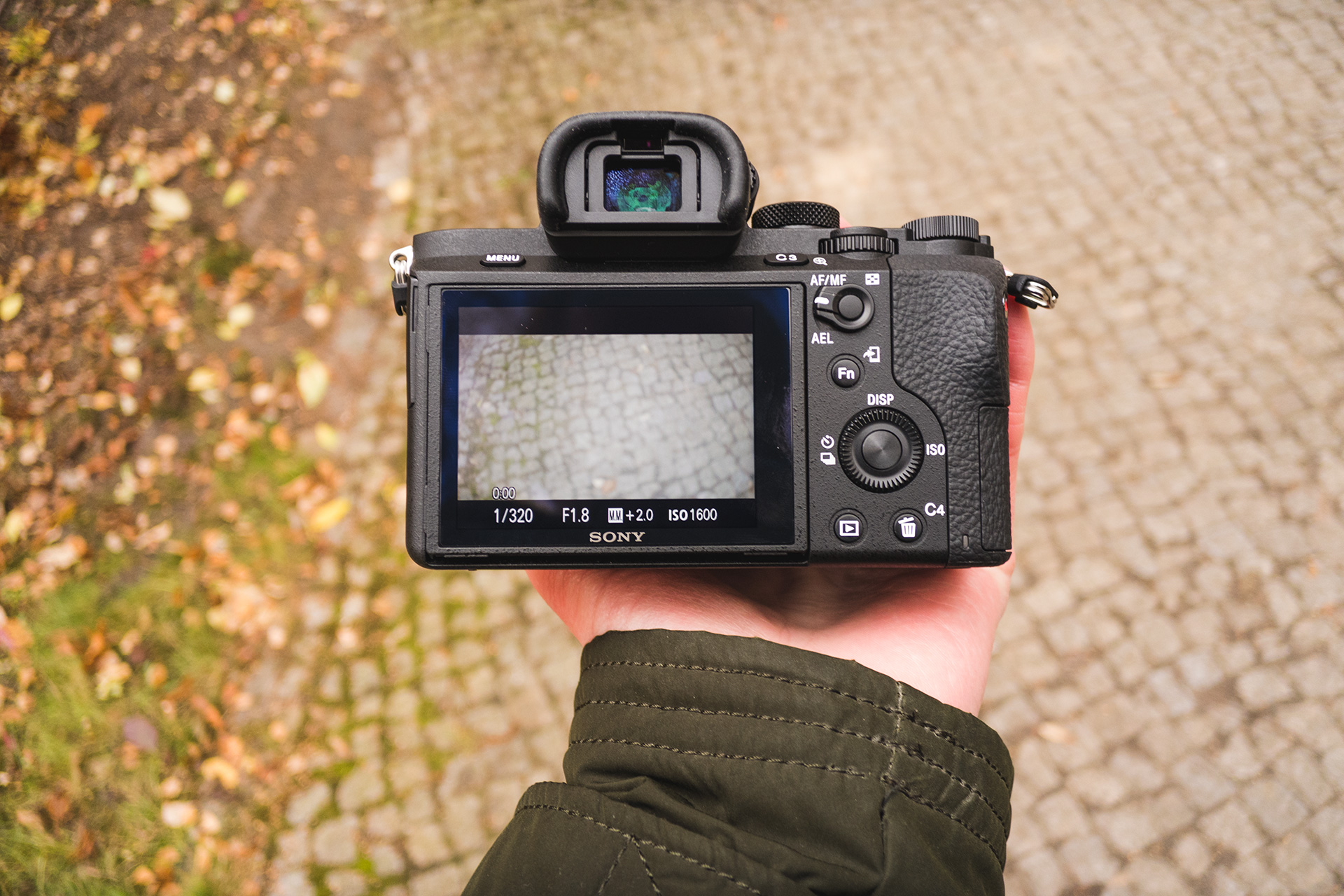 Sony A7 II review - 5 axis stabilisation in video mode - EOSHD.com