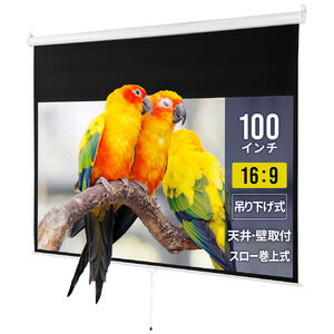 プロジェクタースクリーン （100インチ・ワイド・吊り下げ式・壁掛け