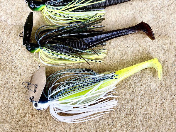 EVERGREEN（エバーグリーン インターナショナル） - OCSC-67M カンタータ