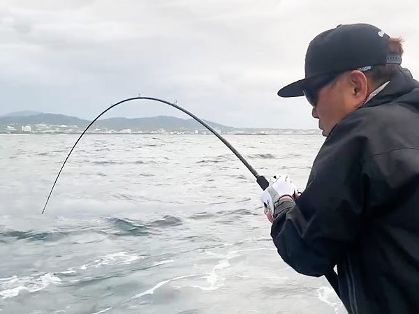 EVERGREEN（エバーグリーン インターナショナル） - OCSC-711XX スローン