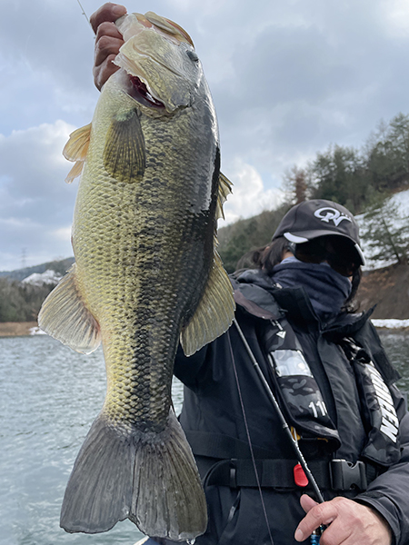 EVERGREEN（エバーグリーン インターナショナル） - OCSS-63UL-ST