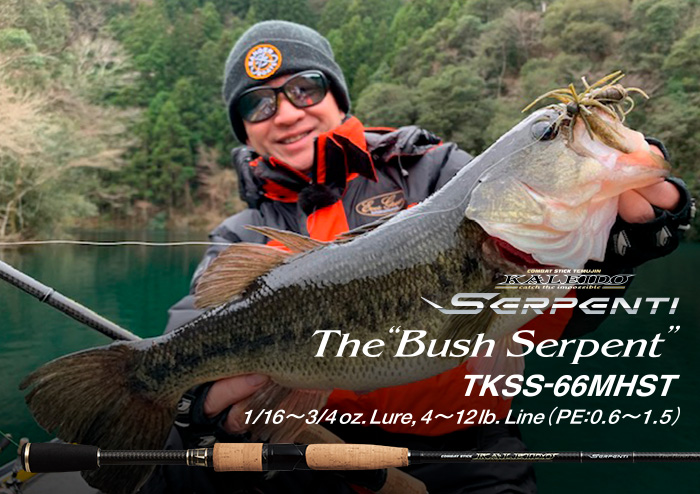 スパイダースピン誕生までの軌跡 -EVERGREEN（エバーグリーン