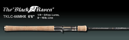 EVERGREEN（エバーグリーン インターナショナル）