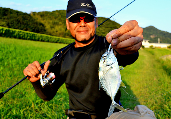 EVERGREEN（エバーグリーン インターナショナル） - PSSS-73T ワイド