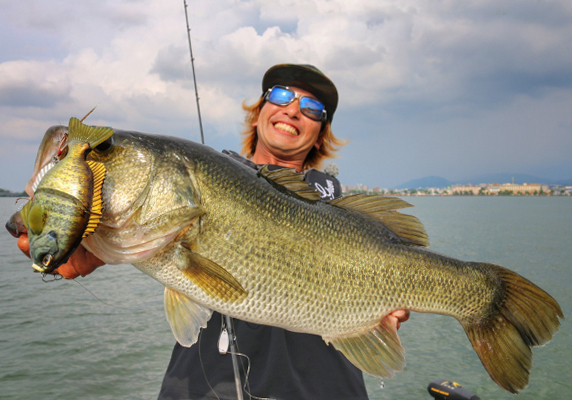 EVERGREEN（エバーグリーン インターナショナル） – 大西健太 夏の