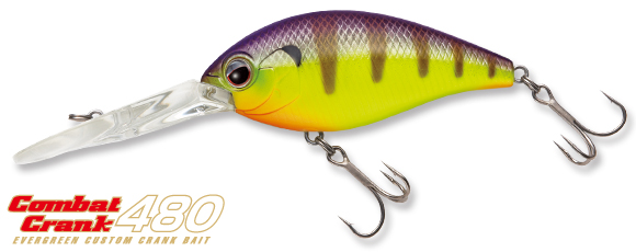 EVERGREEN（エバーグリーン インターナショナル） – コンバット