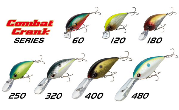 EVERGREEN（エバーグリーン インターナショナル） – 石川秀夫 シャロー