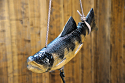 自在鈎(木彫り魚）の販売