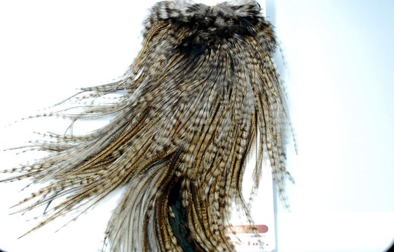 コックデレオンルースターサドル