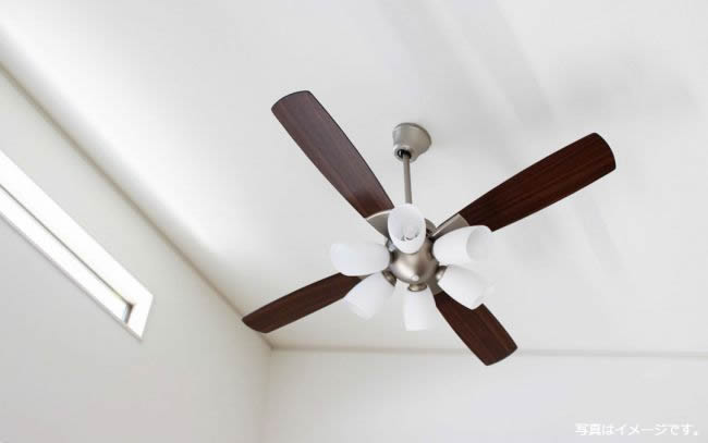 ダイコー製シーリングファンライト【DJE013】【生産終了品】｜<公式