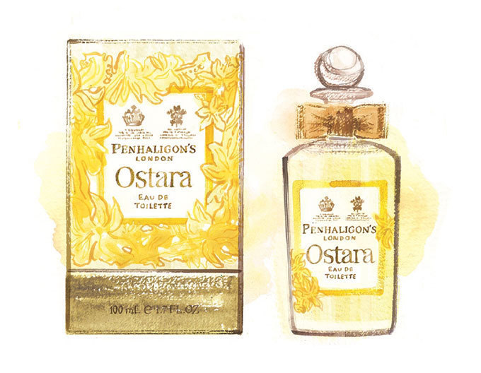 ペンハリガンの新作フレグランス「オスタラ」黄色いラッパスイセンが