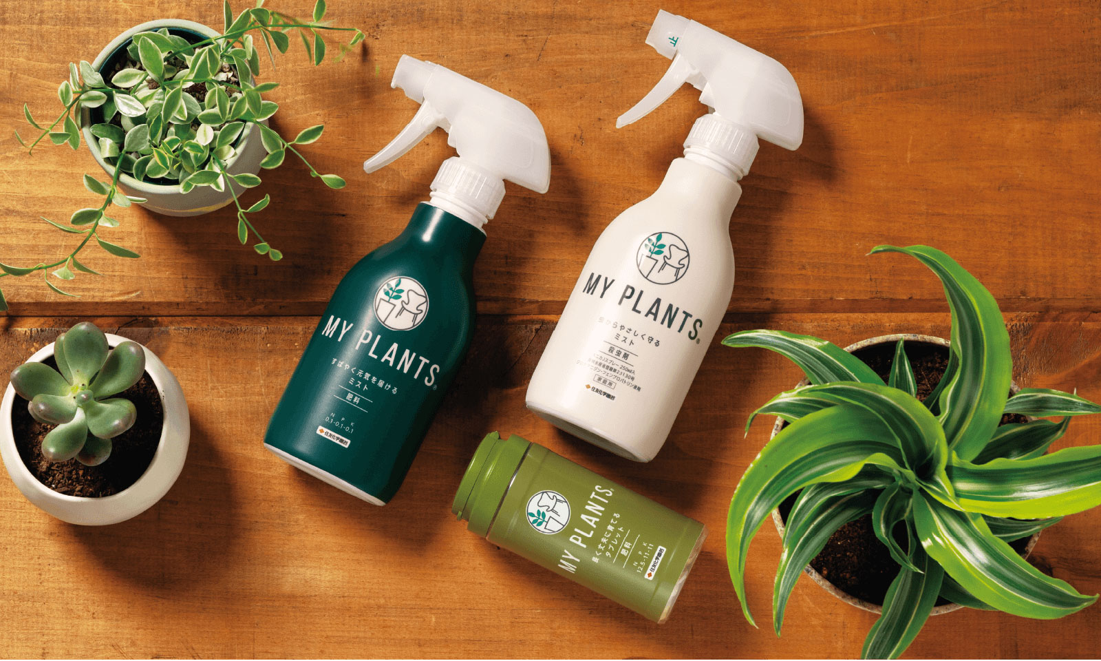 観葉植物の販売・ギフトならフラワーコーポレーション / 葉面洗浄剤 MY