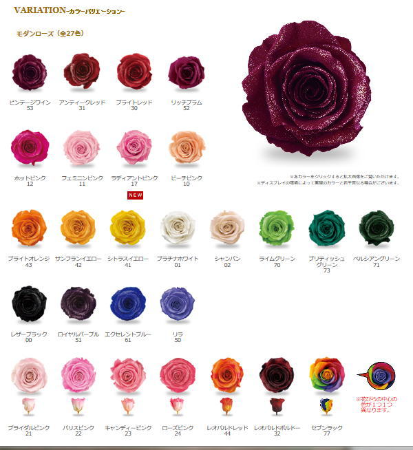 レインボーローズプリザーブド通販・販売Arc-en-Ciels