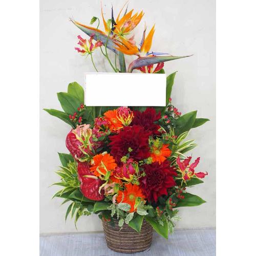 ストレリチアがポイントのビタミンカラーアレンジ♪」| 花屋「笑 華