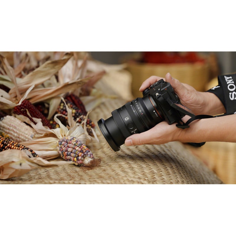 SONY FE 24-50mm F2.8 G SEL2450G 新品｜フジヤカメラ