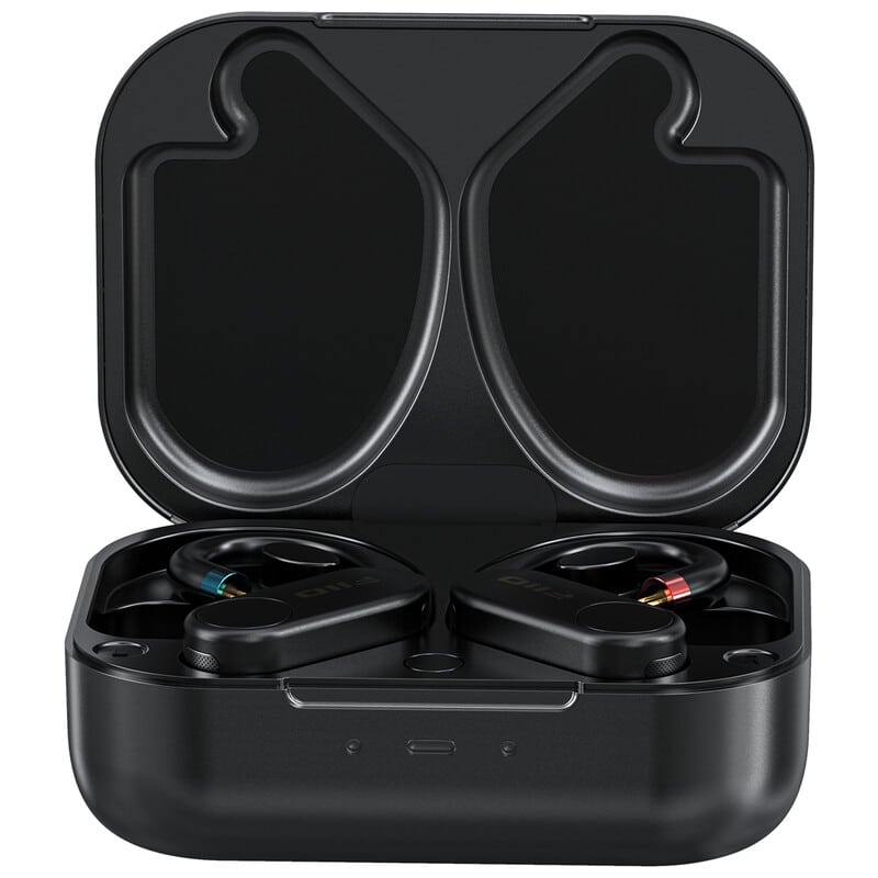 FIIO UTWS5 2025 2PIN [FIO-UTWS5-25-2PIN] 買取価格｜フジヤエービック