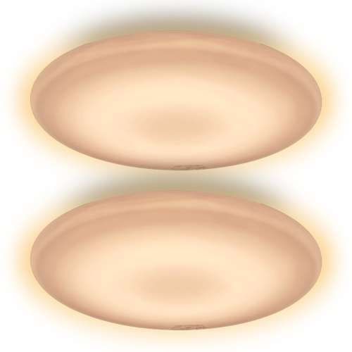 シーリングライト/シーリングライト・照明器具(ドウシシャ