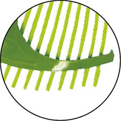 金象 プラレーキL 152895(152895): ガーデニング・農業資材