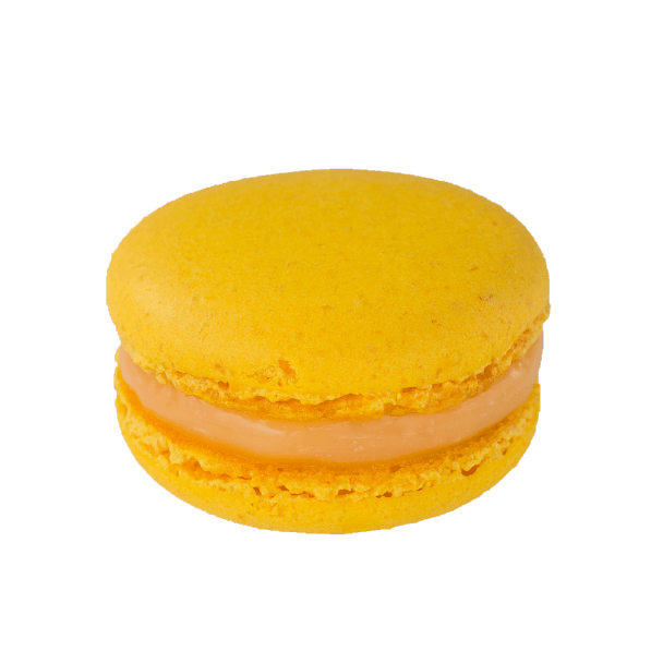 Macarons マカロン | kazunori ikeda individuel