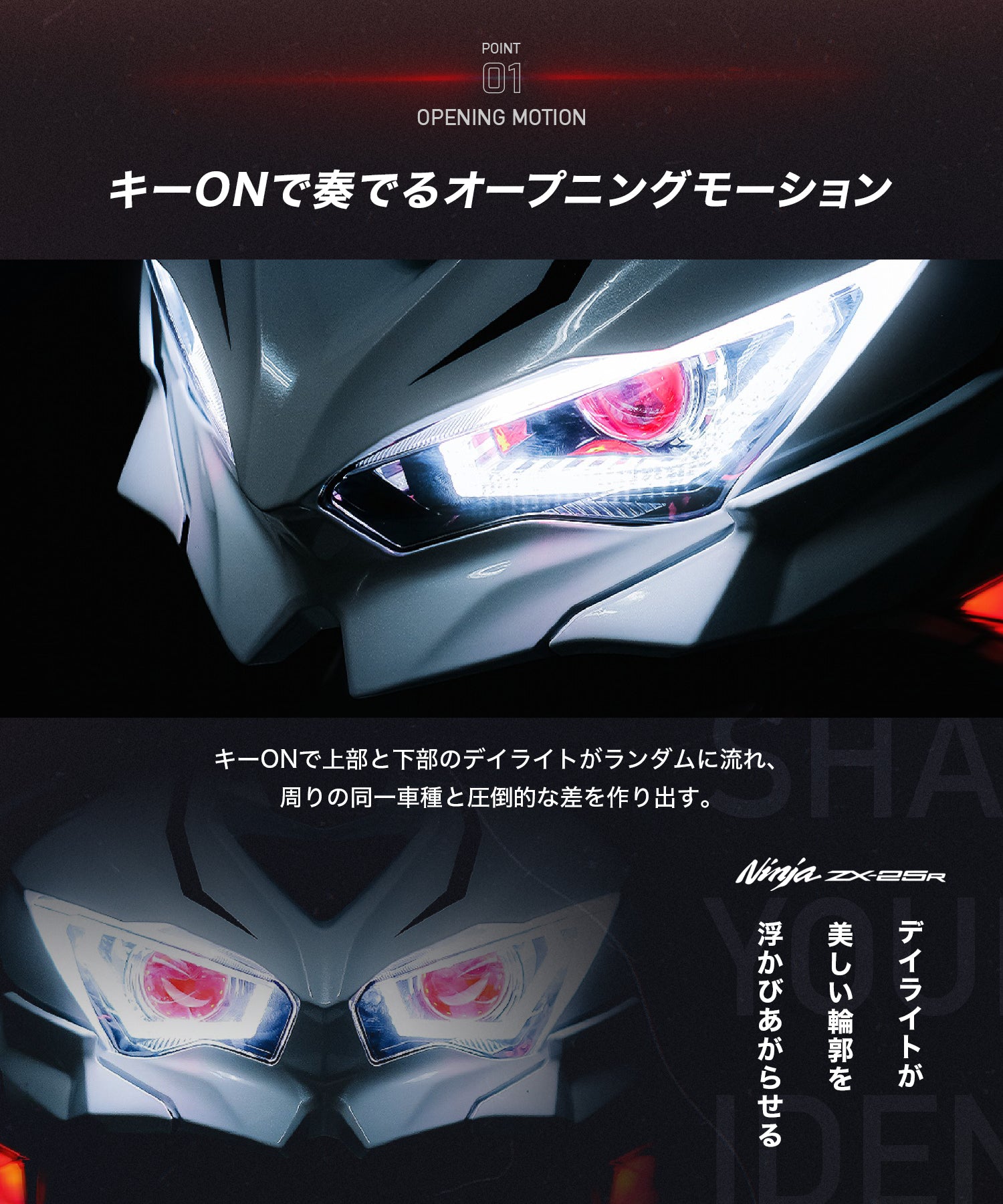 Cyber LED KAWASAKI Ninja ZX-25R カスタムヘッドライト /Ninja250