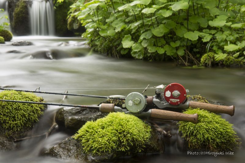 ☆入荷！在庫僅か☆WESSEX ウェセックストラウトロッド／ベイト WSE-C