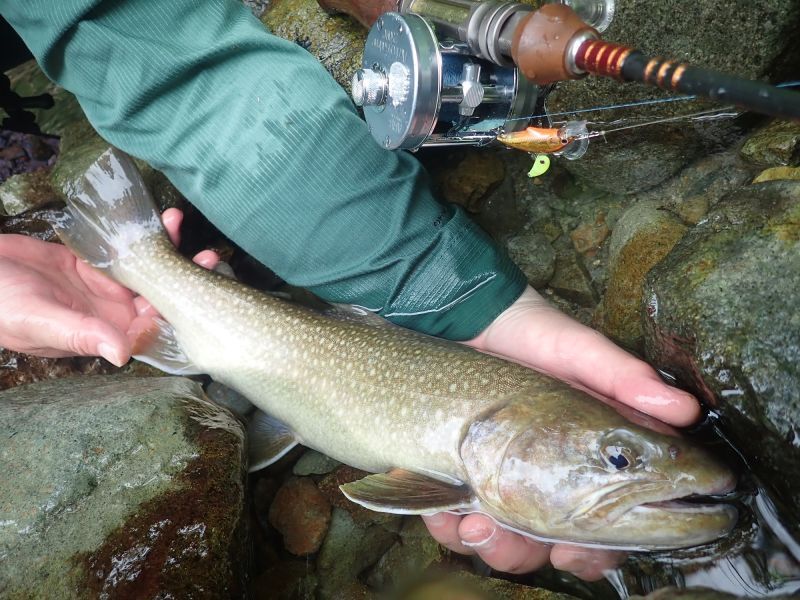 ☆WESSEXトラウトロッドWSE-C/48（ノーマルガイドモデル）、WSE-C/48SP