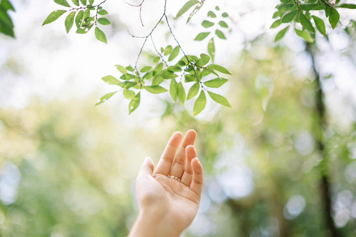 何気ない瞬間が1枚の写真作品となる、ニコン NIKKOR Z 50mm f/1.4 | ShaSha