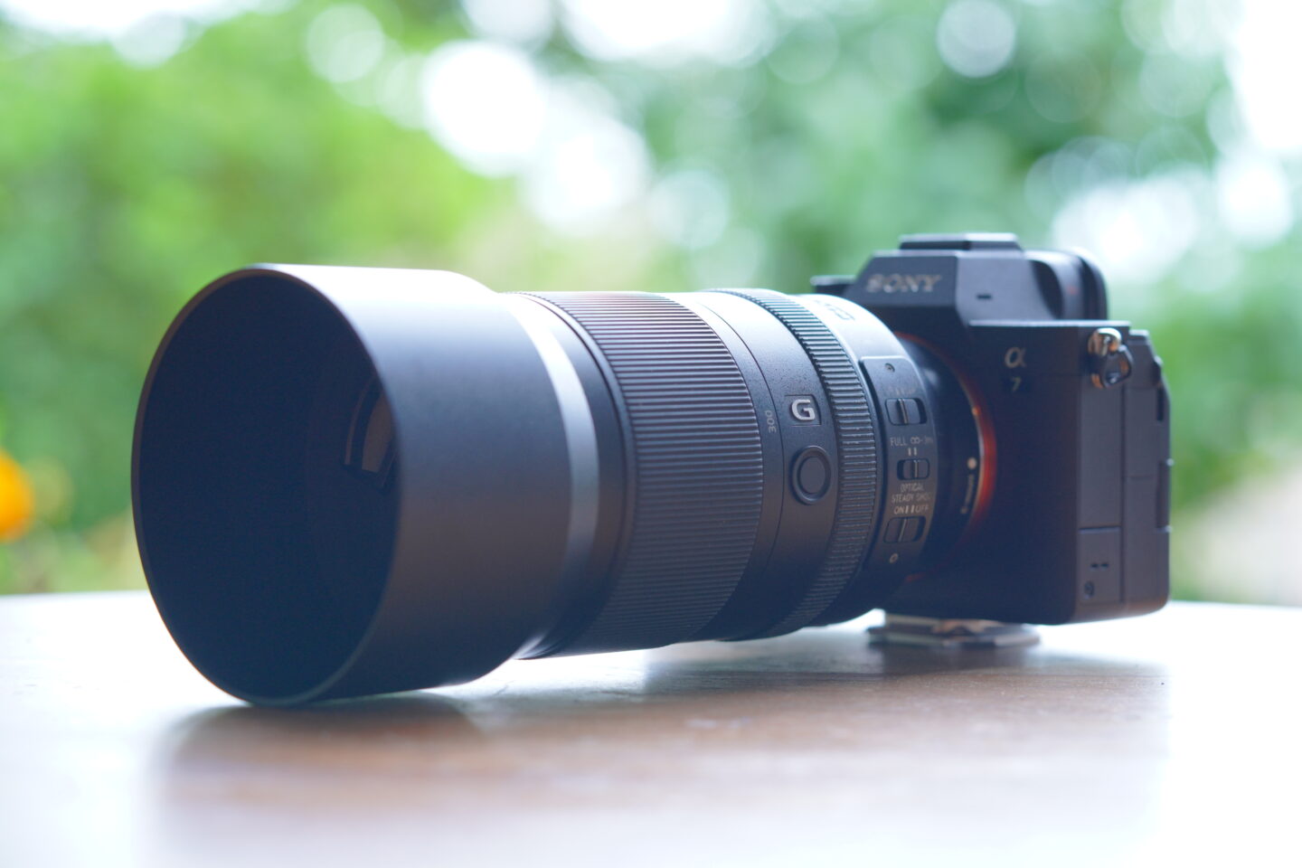 ソニー FE 70-300mm F4.5-5.6 G OSS レビュー｜とにかく軽い超望遠