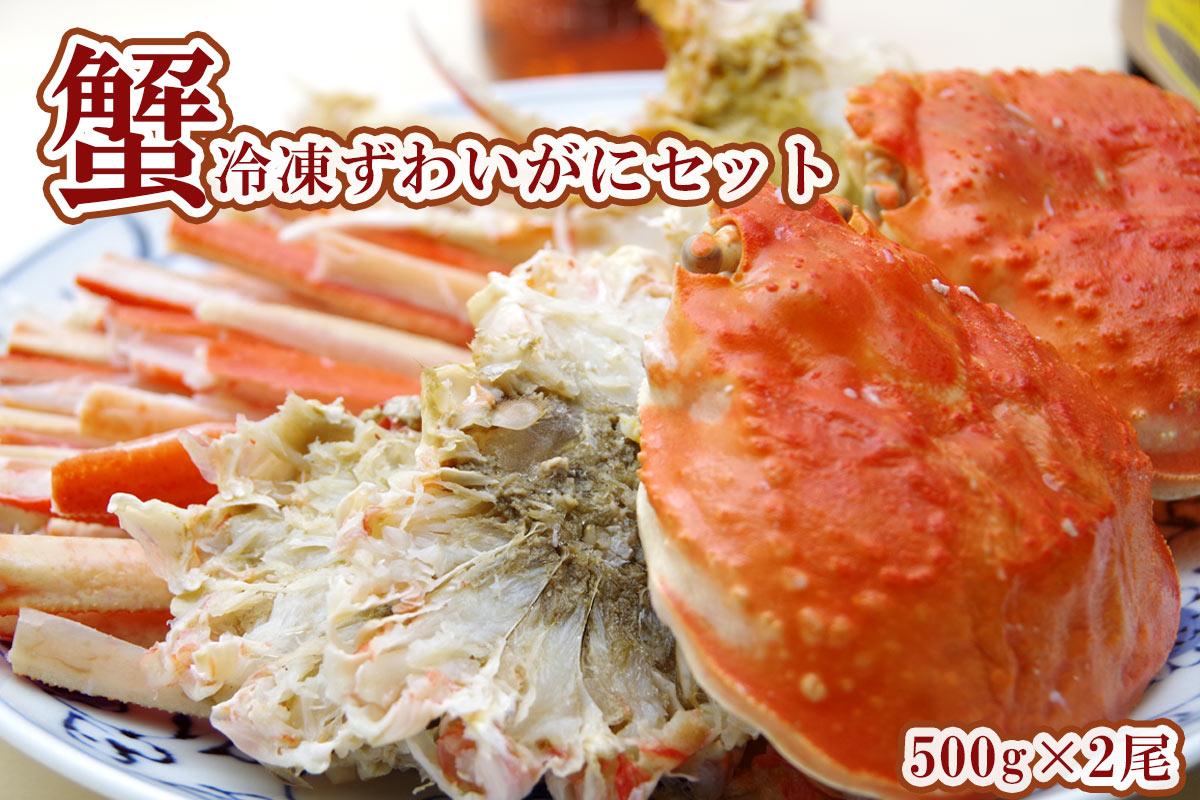 冷凍ずわいがにセット 500g×2尾【札幌蟹販】 - 北海道発見市場【北市