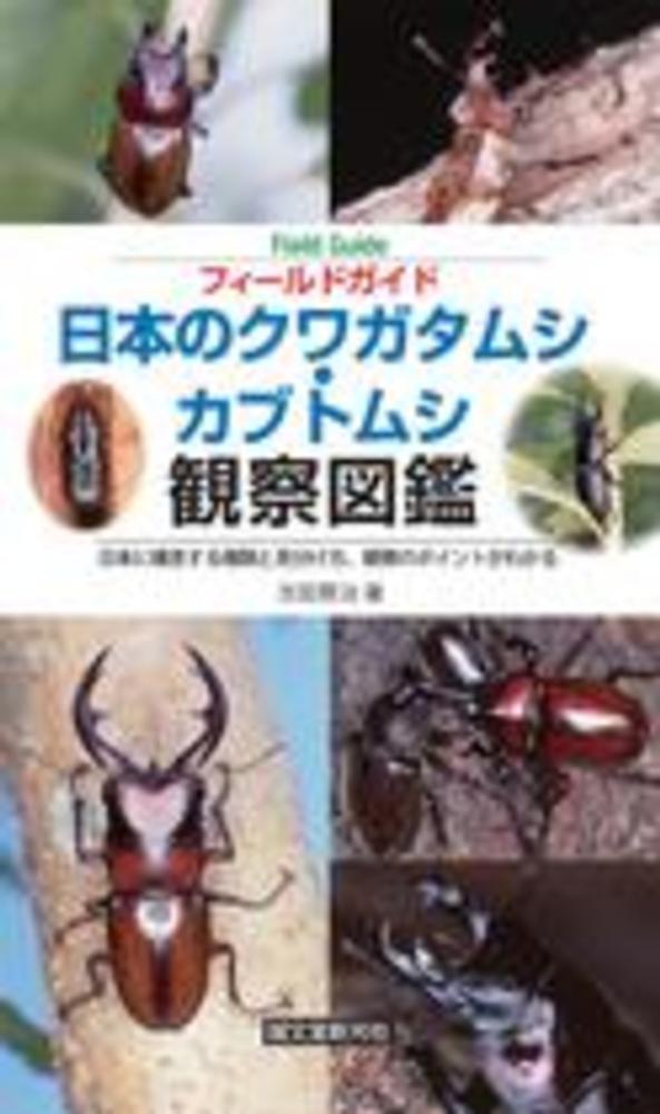 フィ－ルドガイド日本のクワガタムシ・カブトムシ観察図鑑 / 吉田 賢治