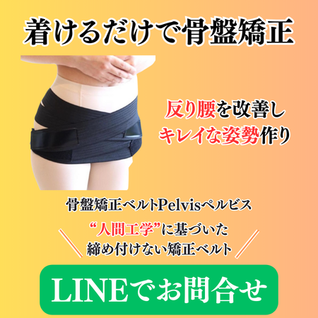 骨盤ベルトPelvisぺルビス|反り腰を矯正できる唯一の骨盤ベルト - 向日