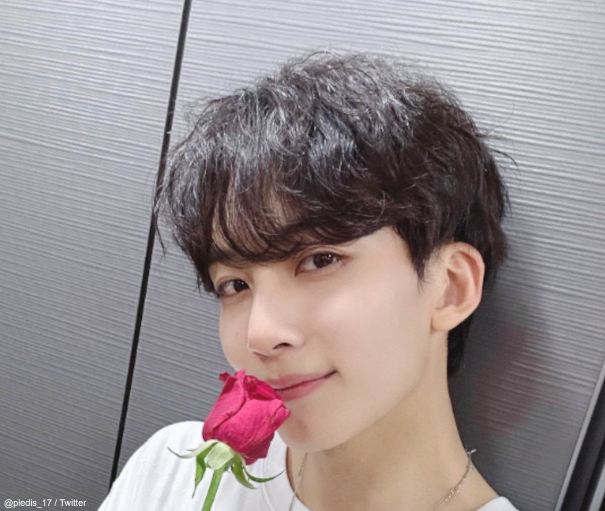 SEVENTEEN ジョンハン、大興奮するCARATのリアクションを完全再現