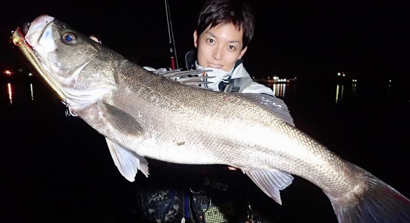 Fishman/フィッシュマン】BRIST comodo 7.5H（ブリスト コモド